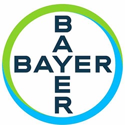 Bayer_web
