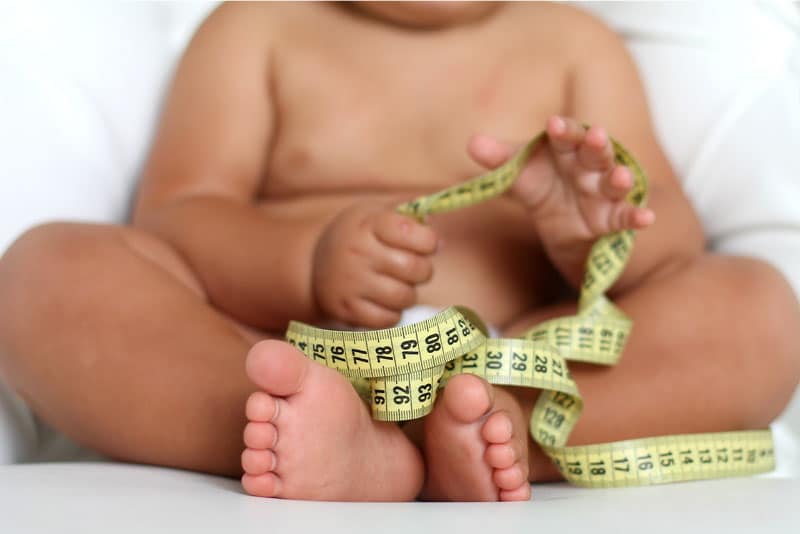 easl-infant-baby-fat-obesity