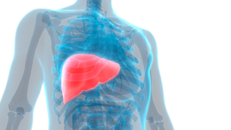 New liver failure treatment could be here by 2020 - EASL ...