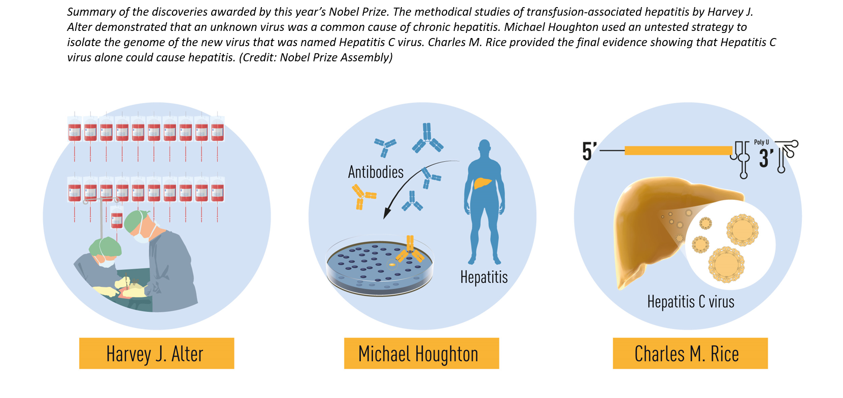 Hepatitis C scientists in the limelight: Nobel Prize 2020 - EASL-The ...