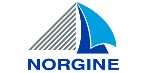 Logo-Norgine-RVB-300